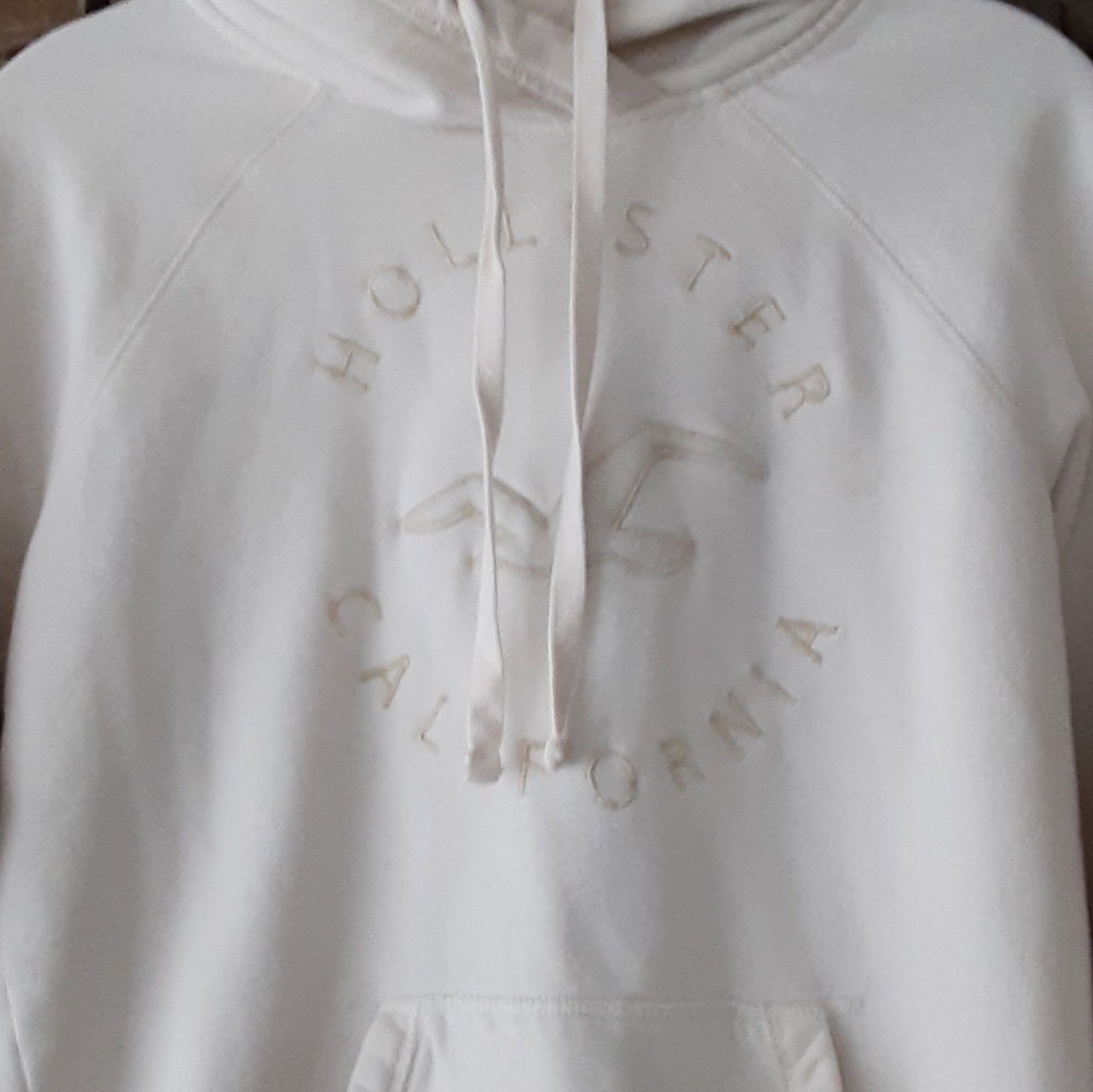 Hollister Hoddie - Picture 2 of 3